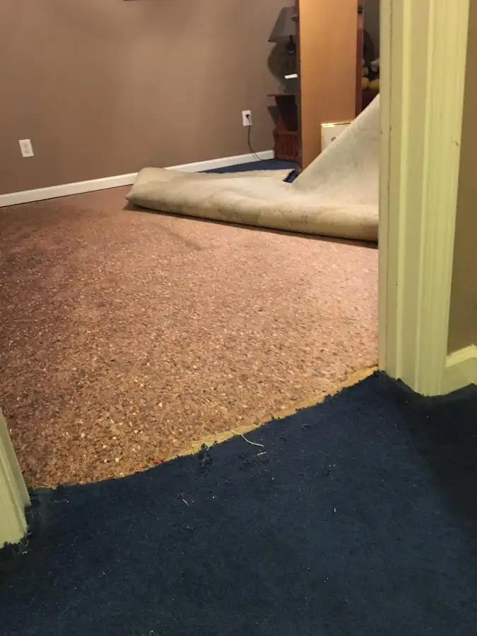 Carpet pad removal revealing water damage during Water Mitigation Services in Middleburg