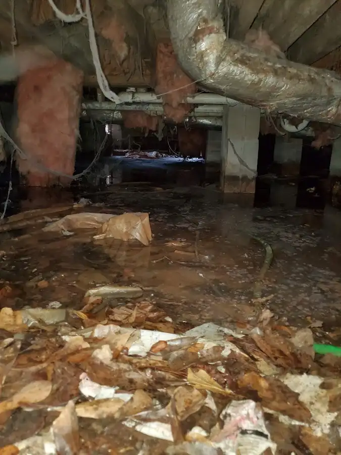 Crawl space flood assessment for Leak Detection & Repair in Middleburg